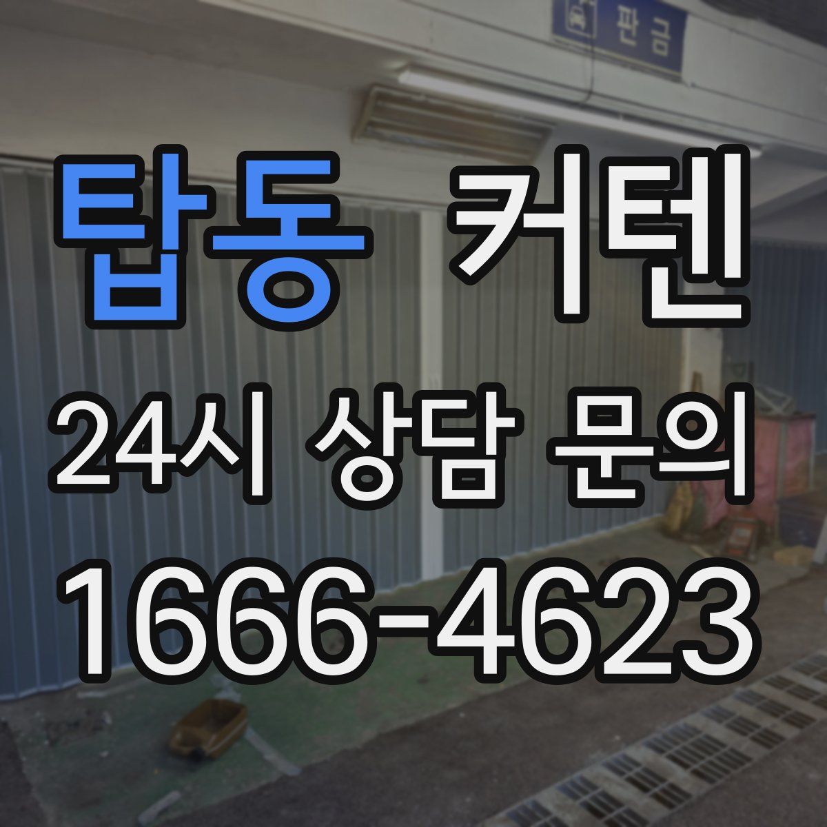 탑동 커텐