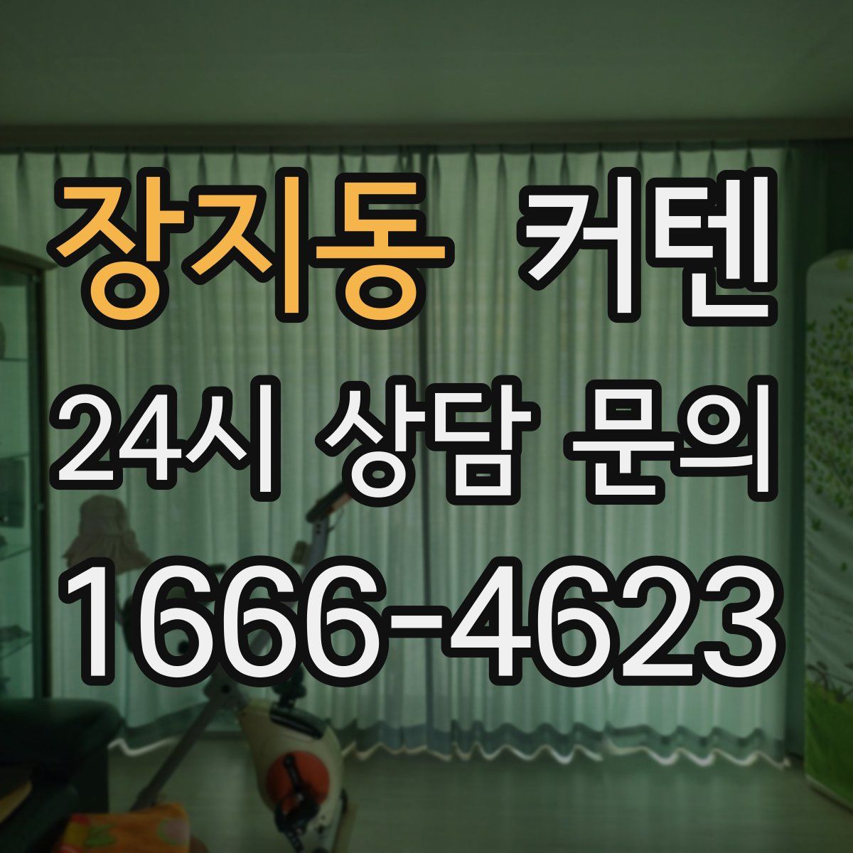 장지동 커텐