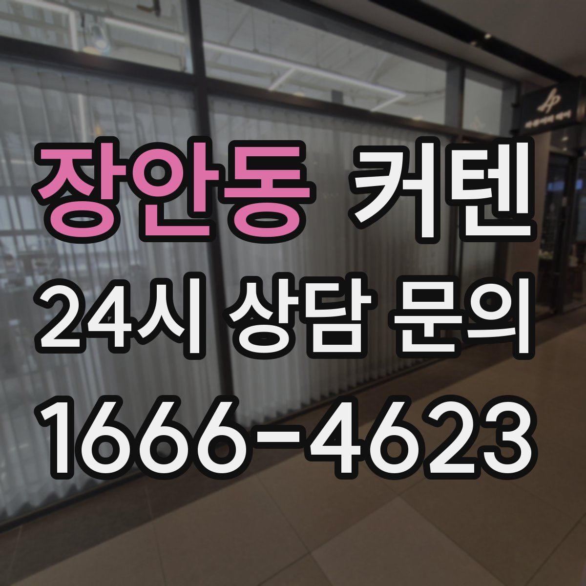 장안동 커텐