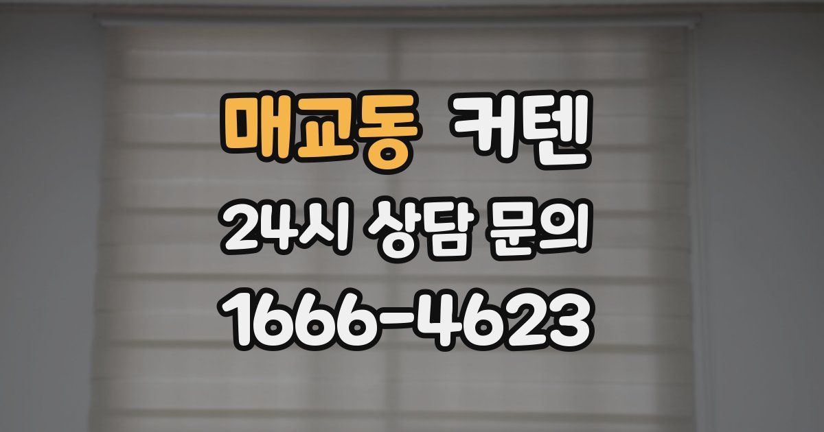 매교동 커텐