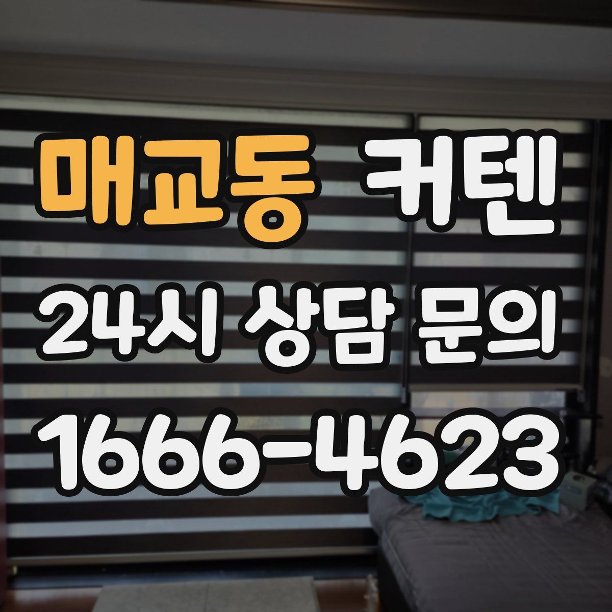매교동 커텐