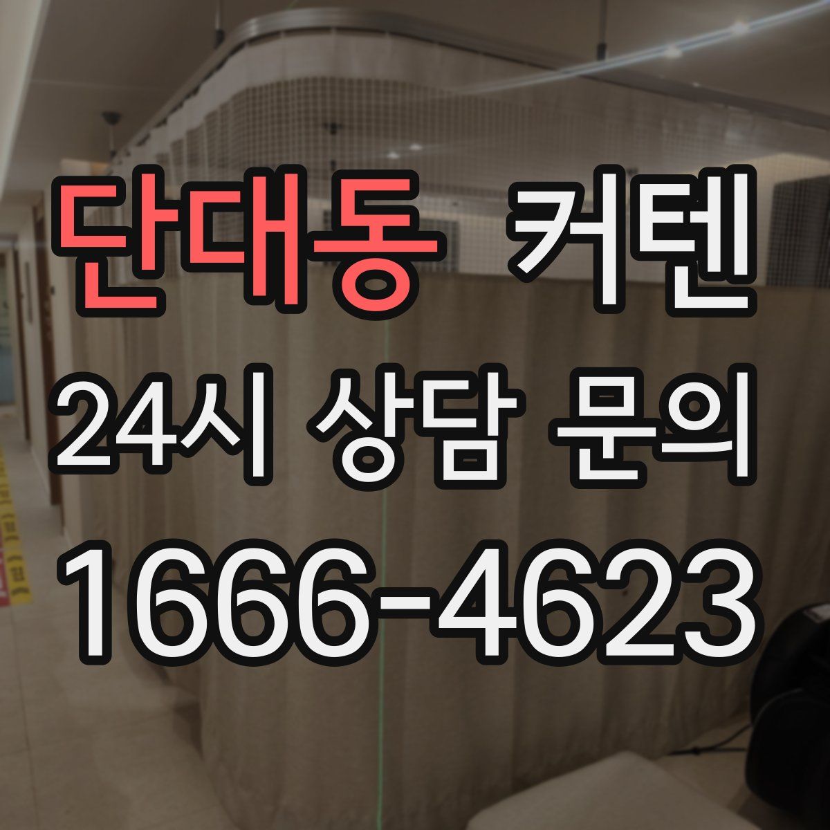 단대동 커텐