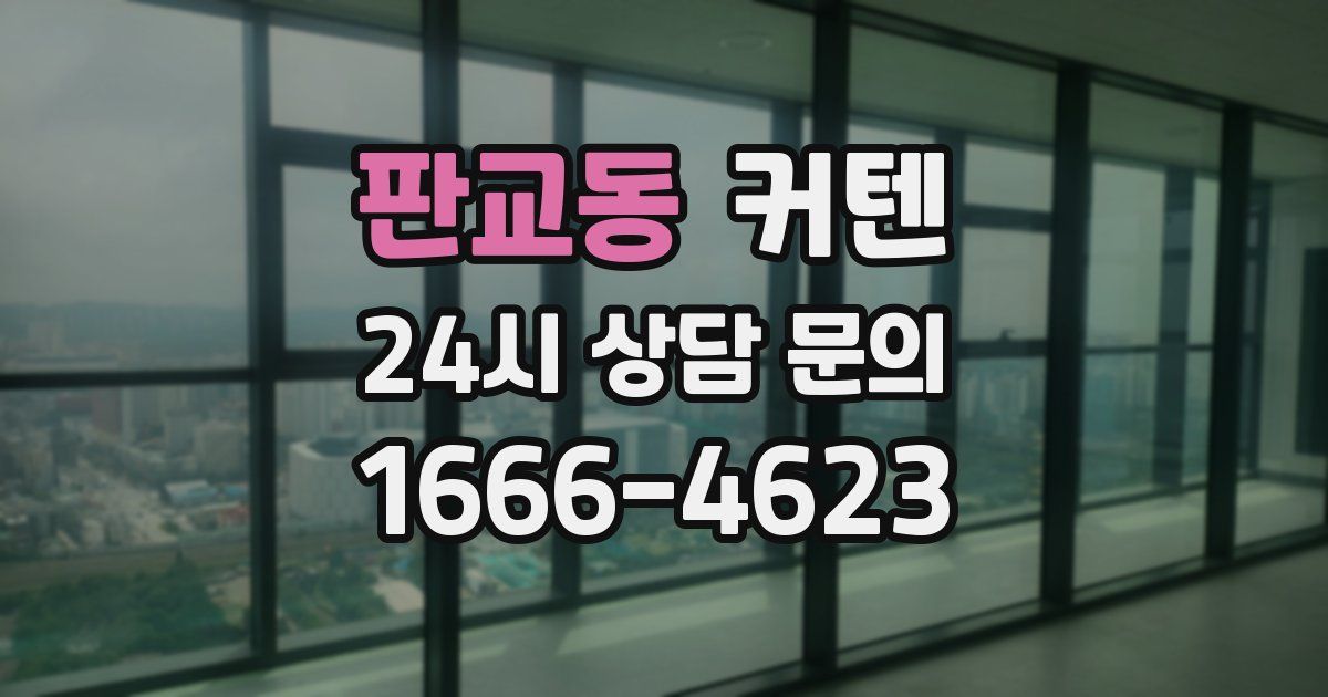 판교동 커텐