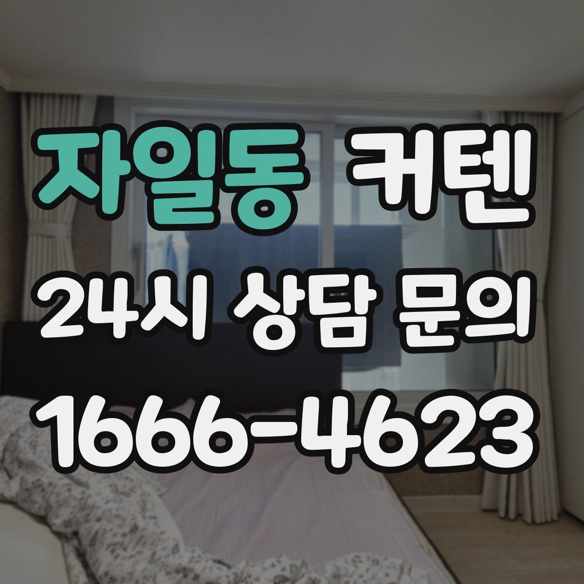 자일동 커텐