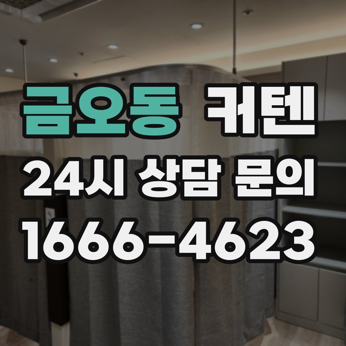 금오동 커텐