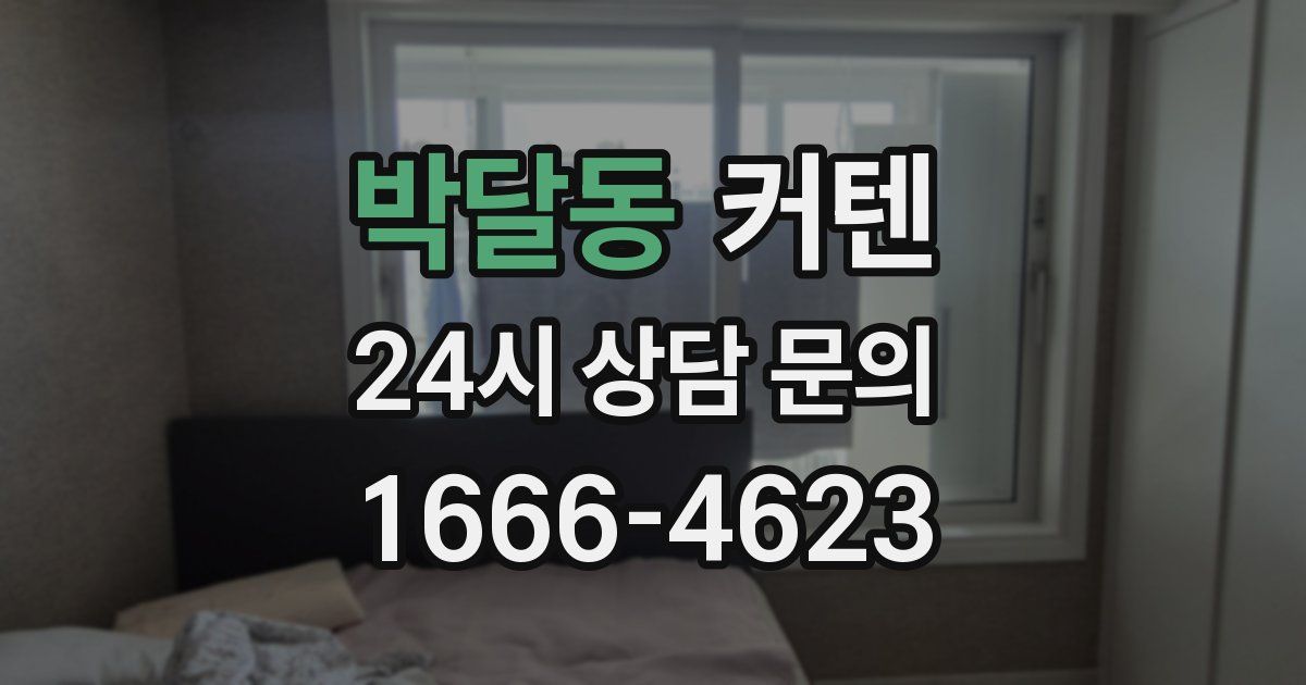 박달동 커텐