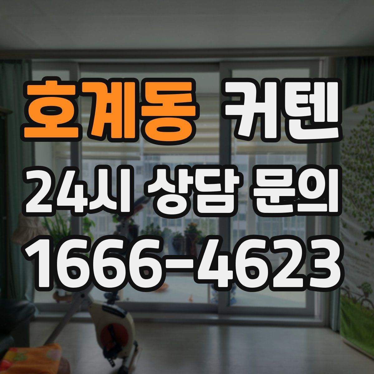 호계동 커텐