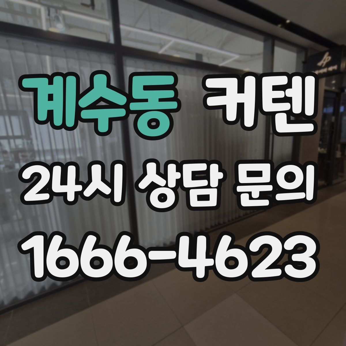 계수동 커텐