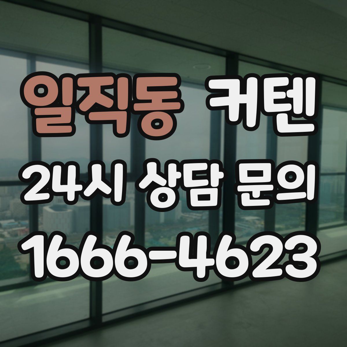일직동 커텐