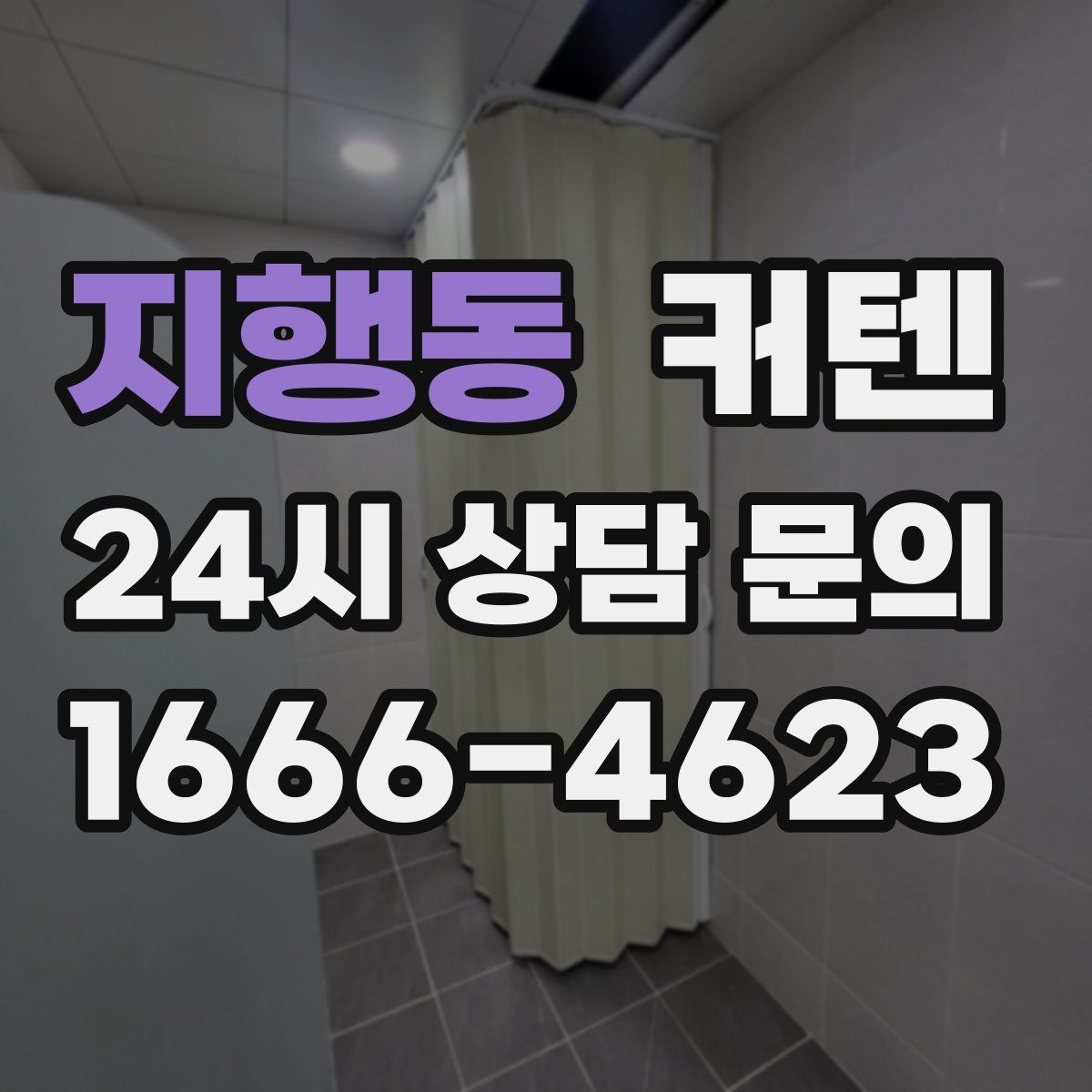 지행동 커텐