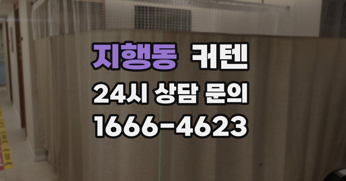 지행동 커텐