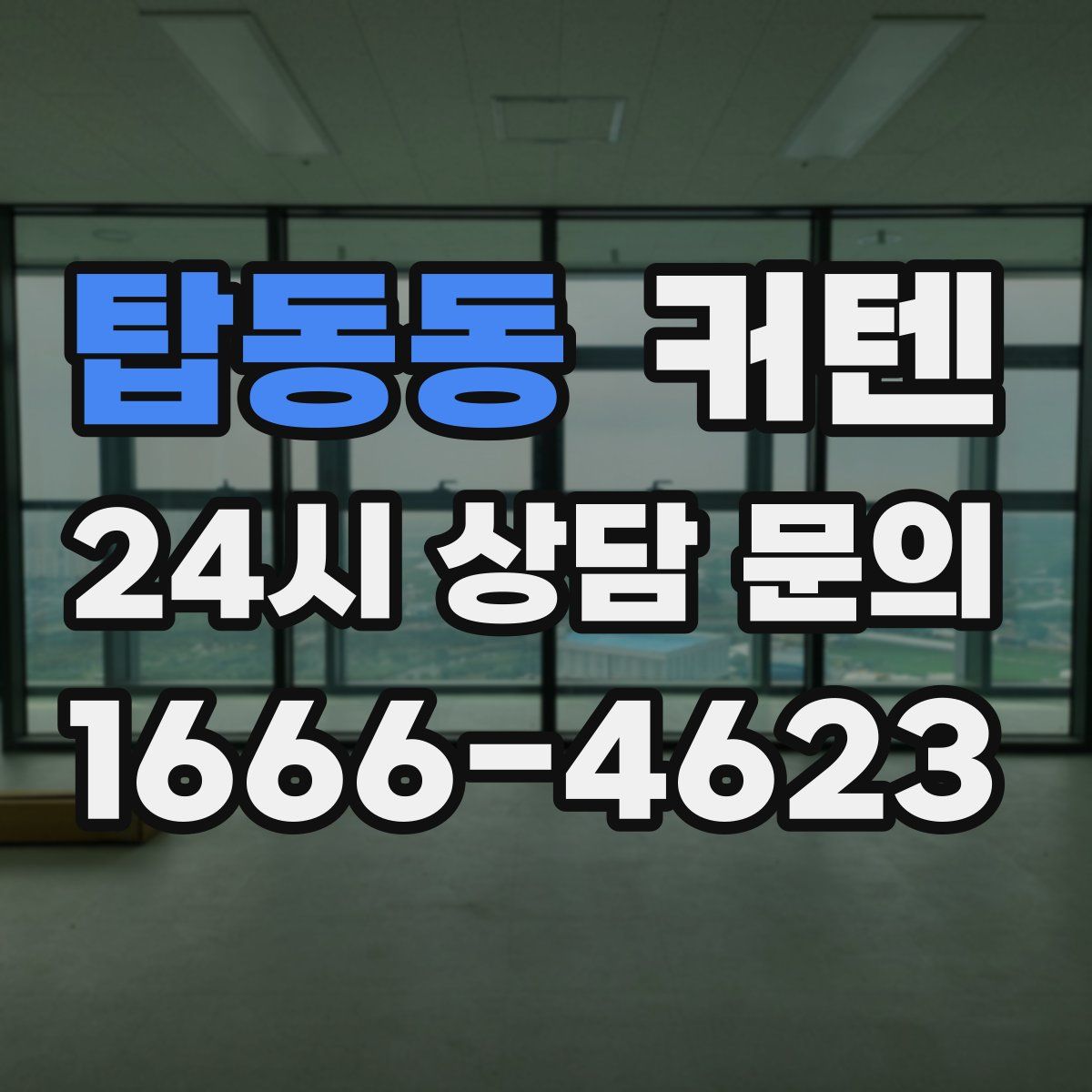 탑동동 커텐