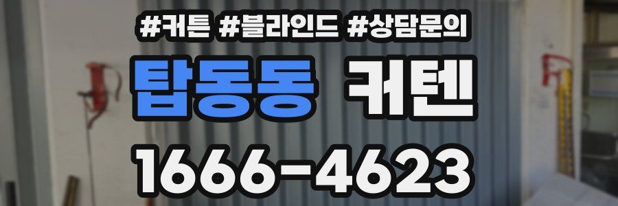 탑동동 커텐