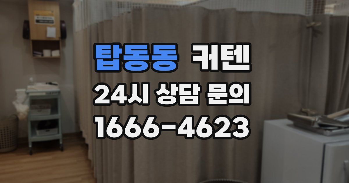 탑동동 커텐