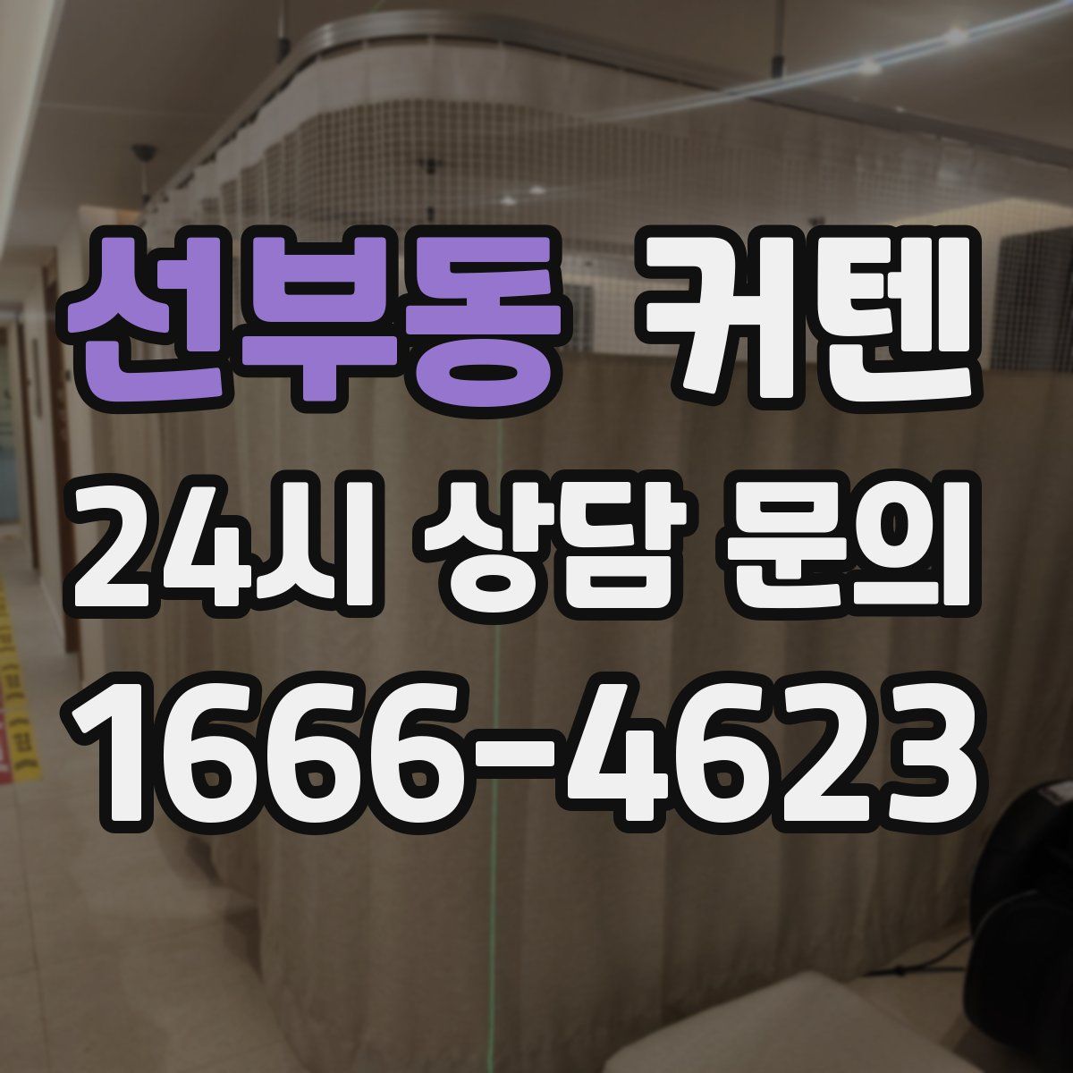 선부동 커텐