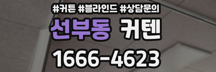 선부동 커텐