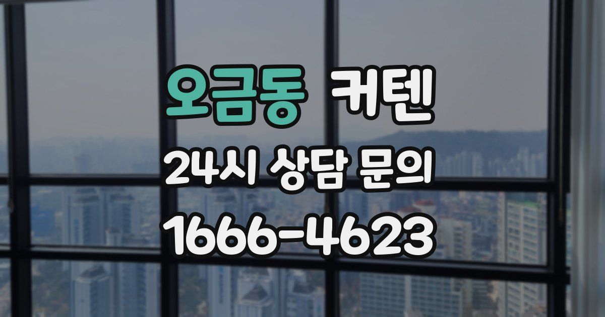 오금동 커텐