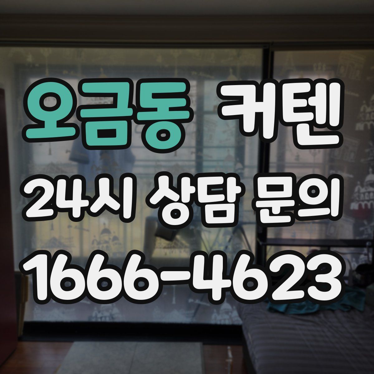 오금동 커텐