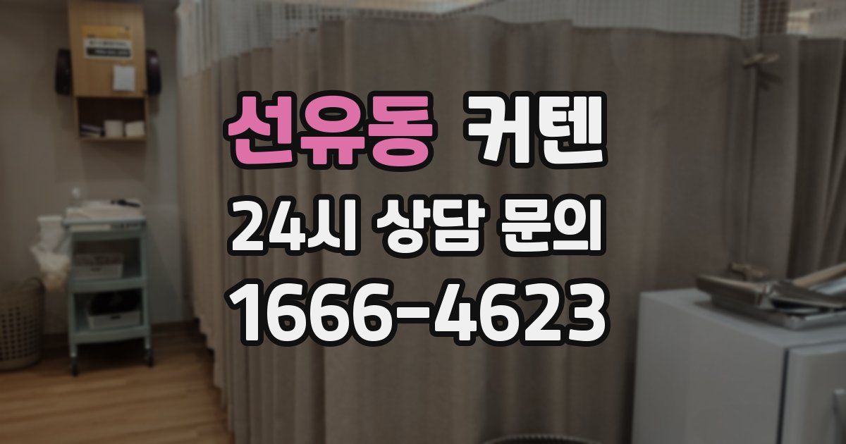 선유동 커텐