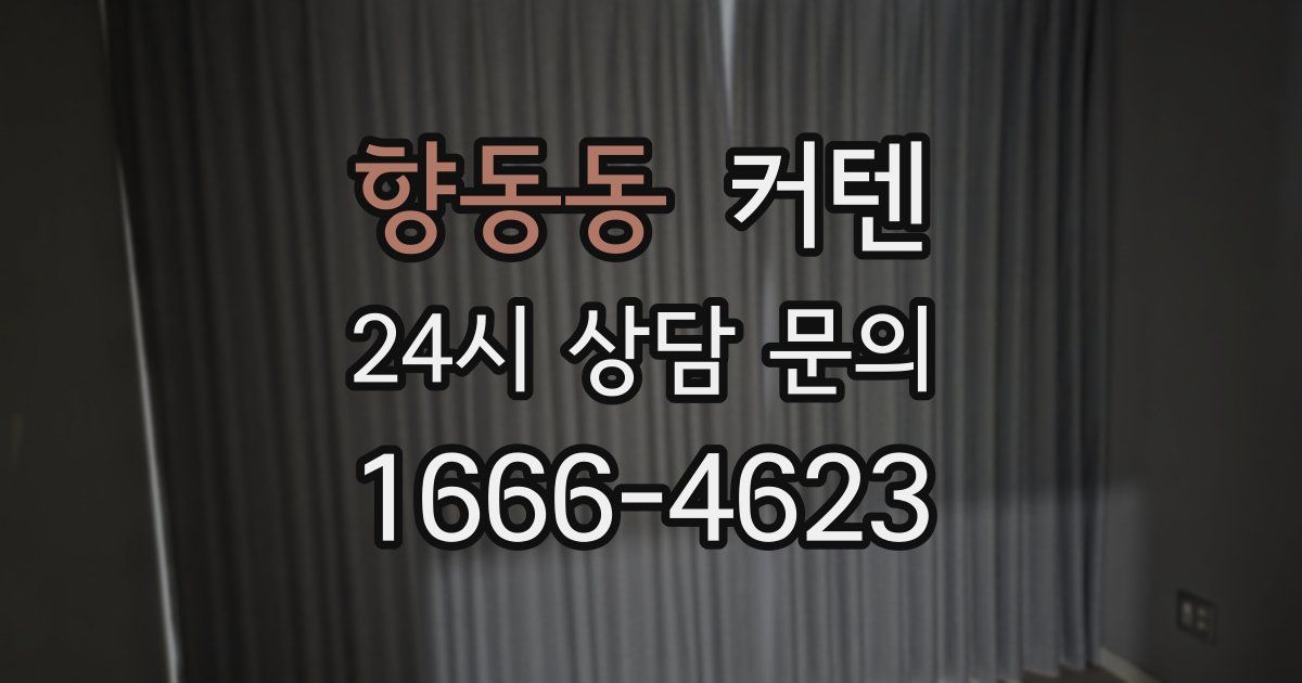 향동동 커텐