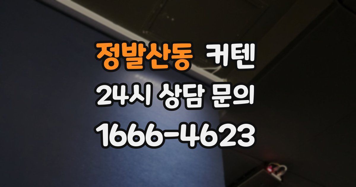 정발산동 커텐