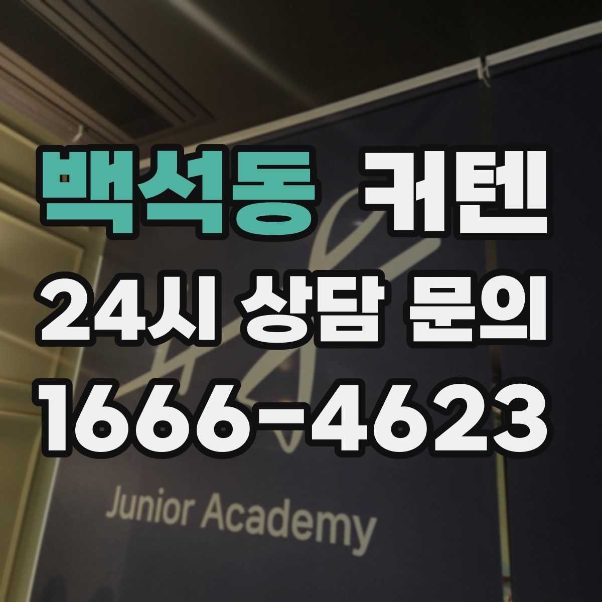 백석동 커텐