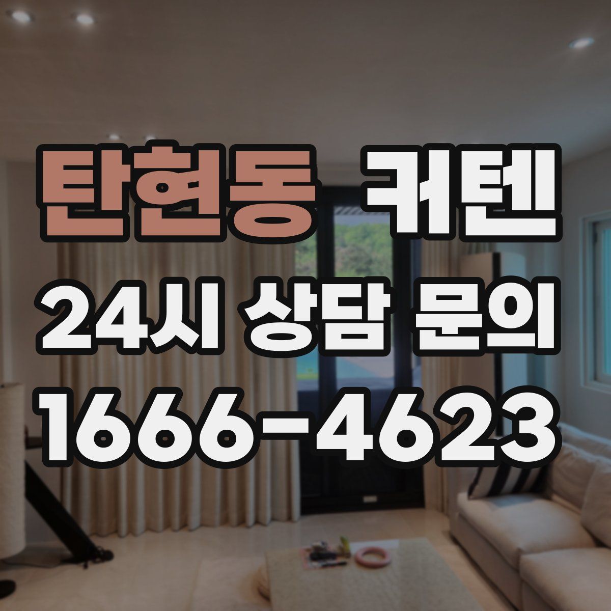 탄현동 커텐
