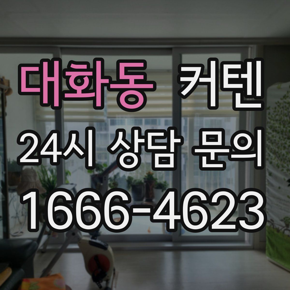 대화동 커텐
