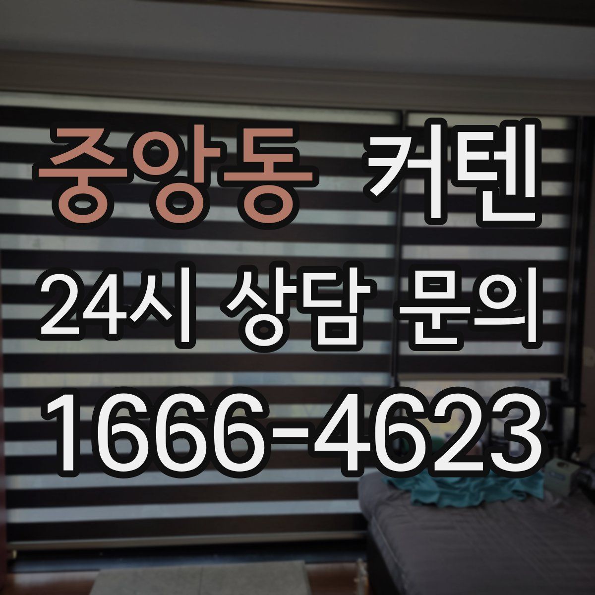 중앙동 커텐