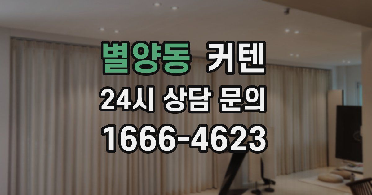 별양동 커텐