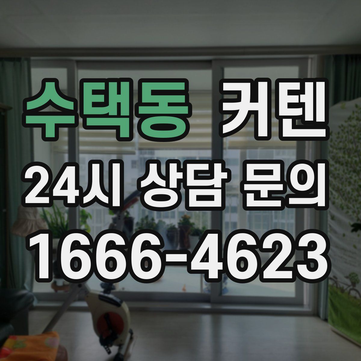수택동 커텐