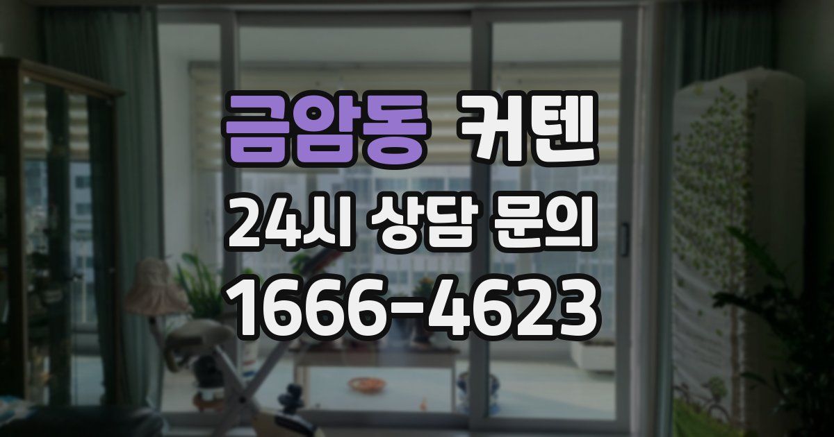 금암동 커텐