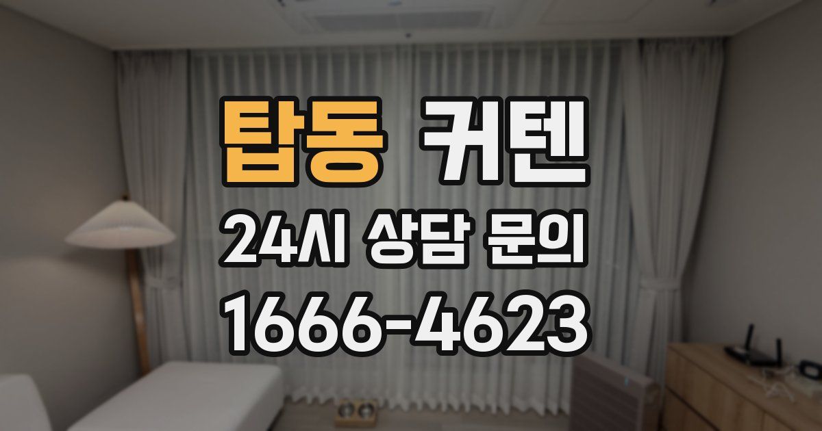 탑동 커텐