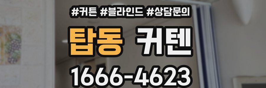 탑동 커텐
