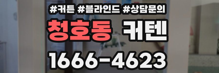 청호동 커텐