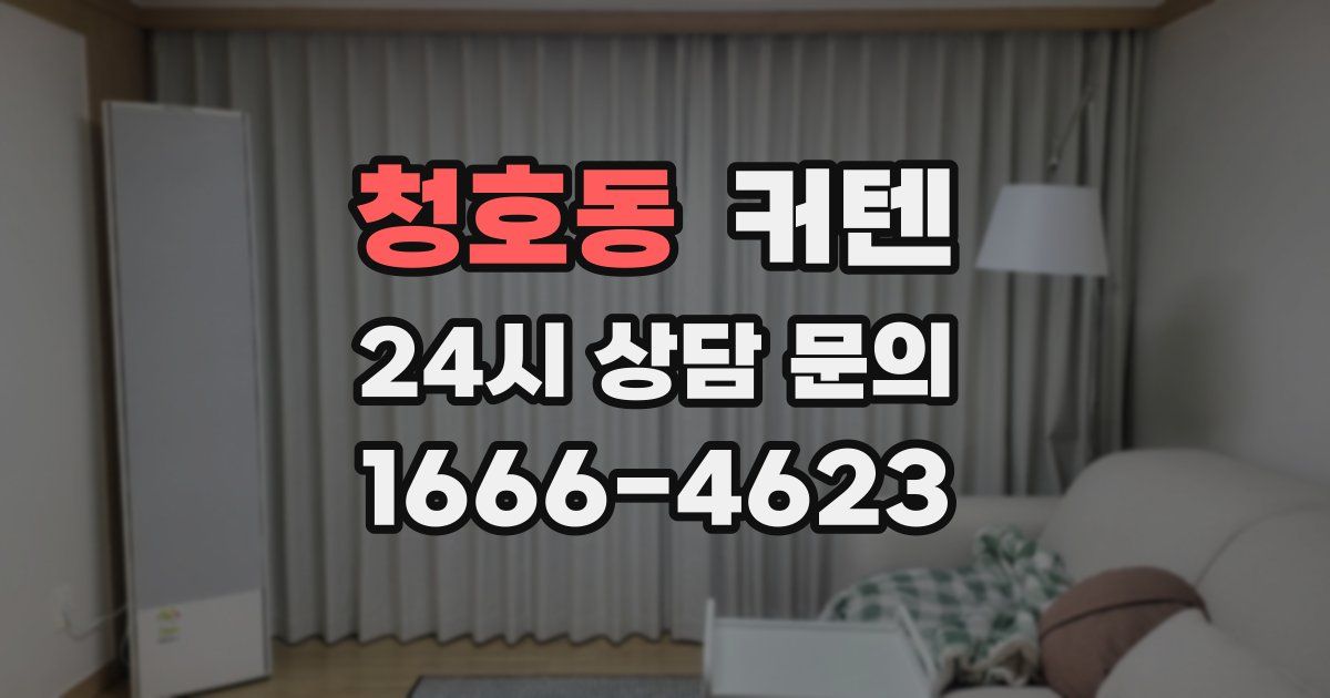 청호동 커텐