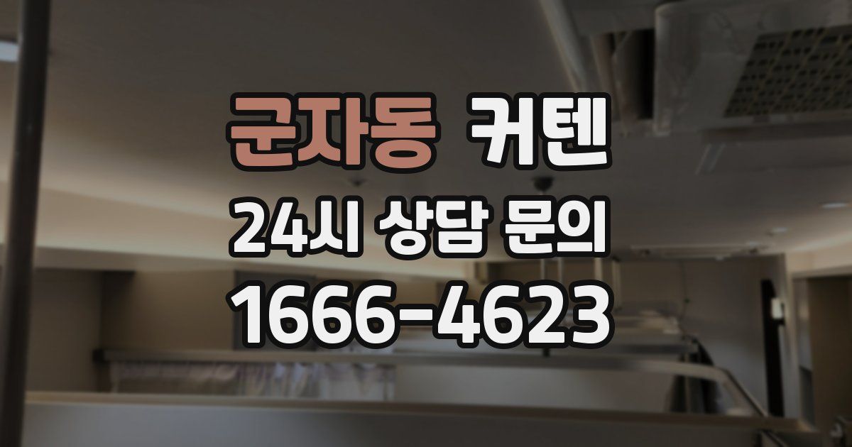 군자동 커텐
