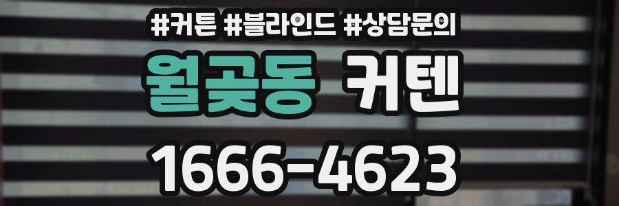 월곶동 커텐