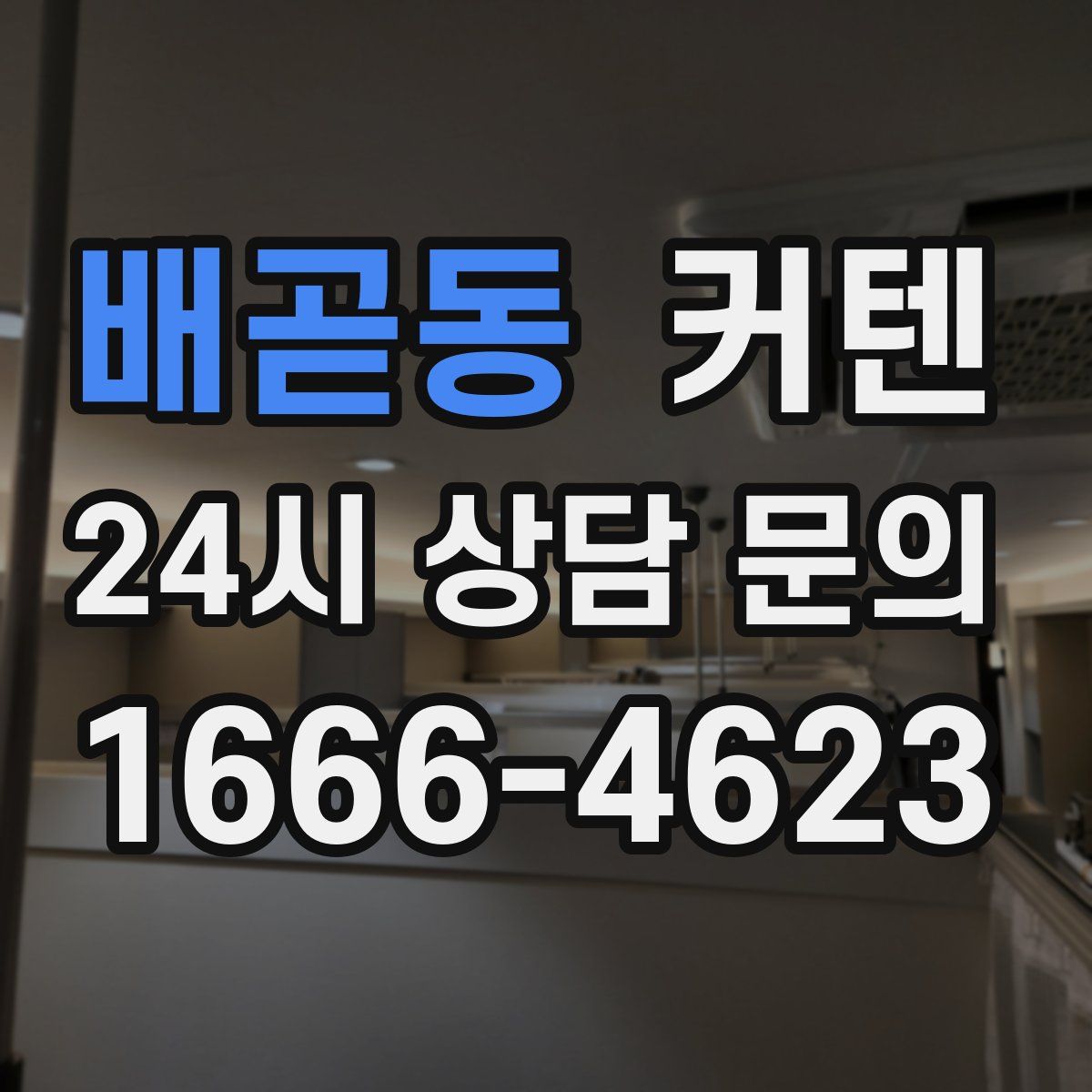 배곧동 커텐