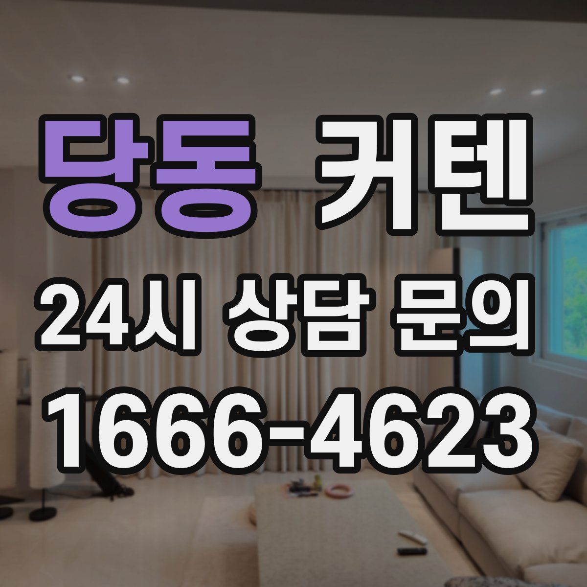 당동 커텐