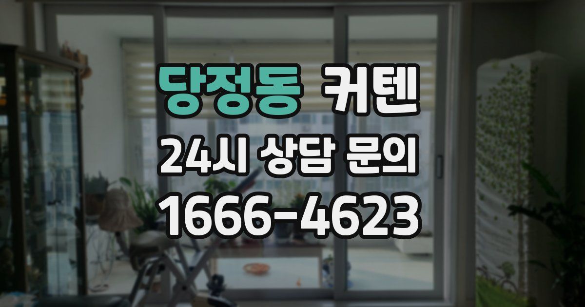 당정동 커텐
