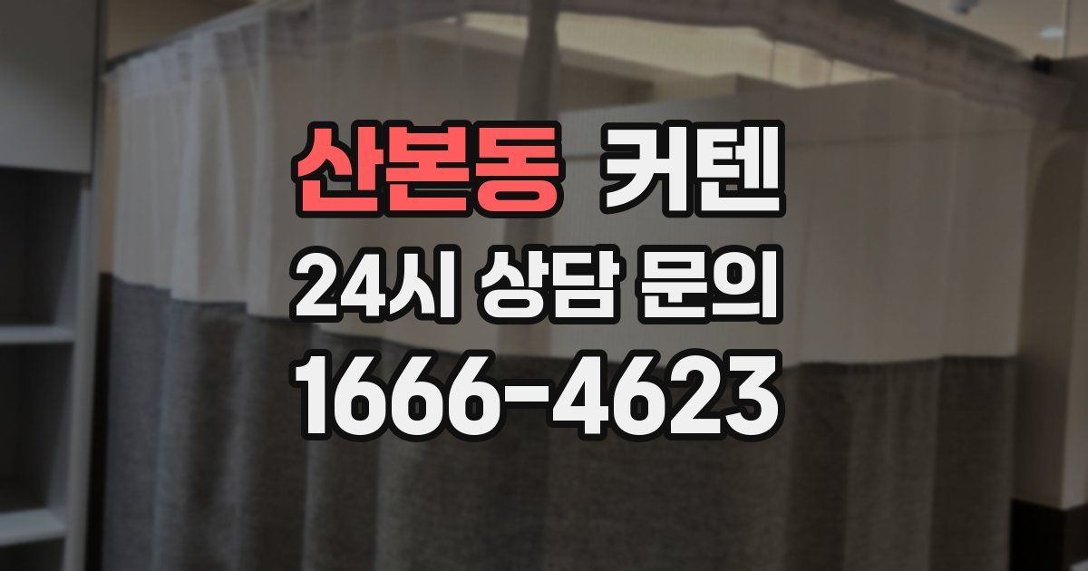 산본동 커텐