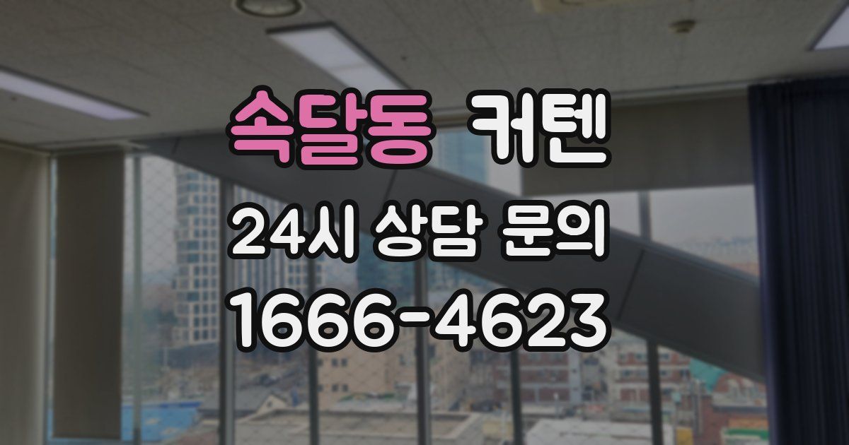 속달동 커텐