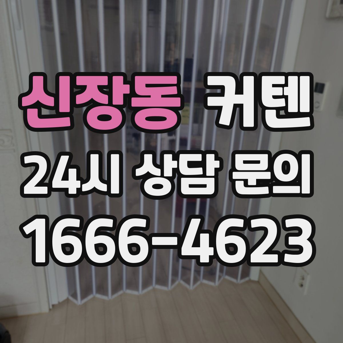 신장동 커텐