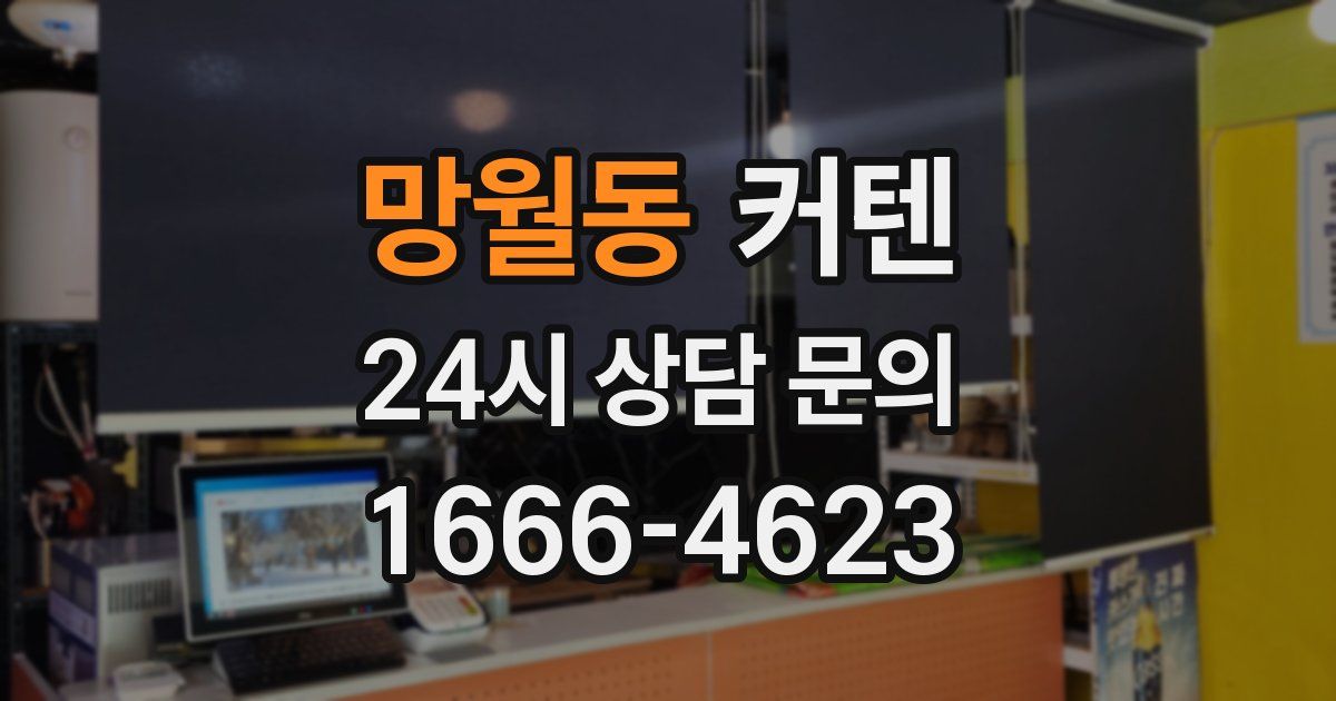 망월동 커텐