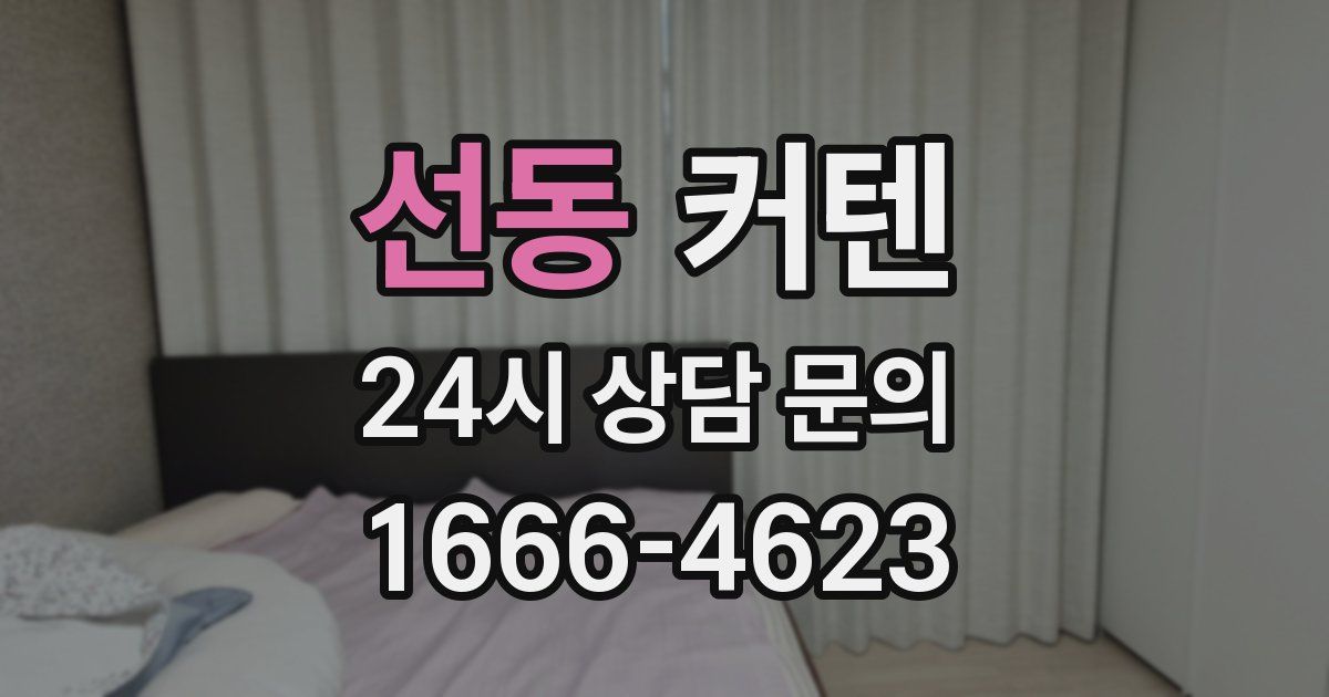 선동 커텐