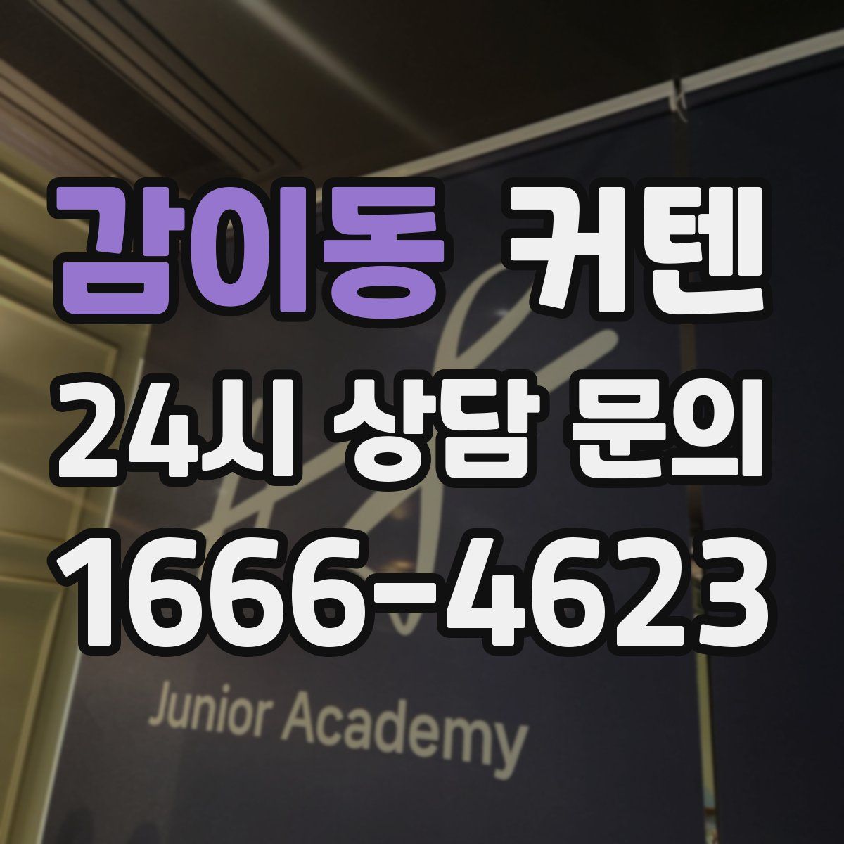 감이동 커텐