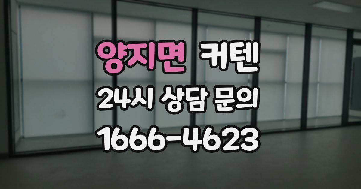 양지면 커텐