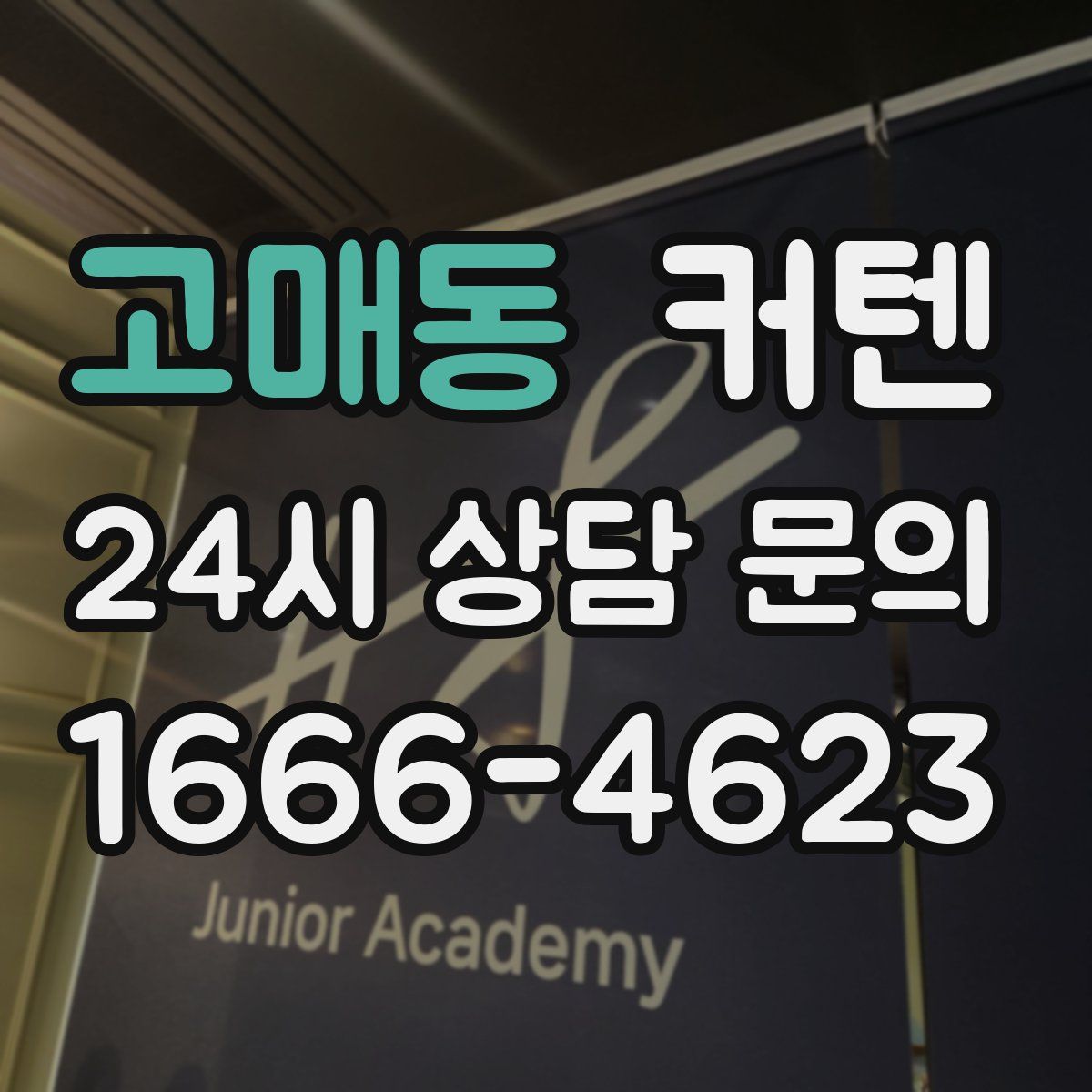 고매동 커텐
