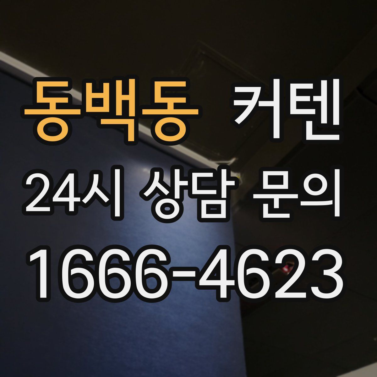 동백동 커텐